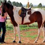 Christy's Story Endometriosis LR