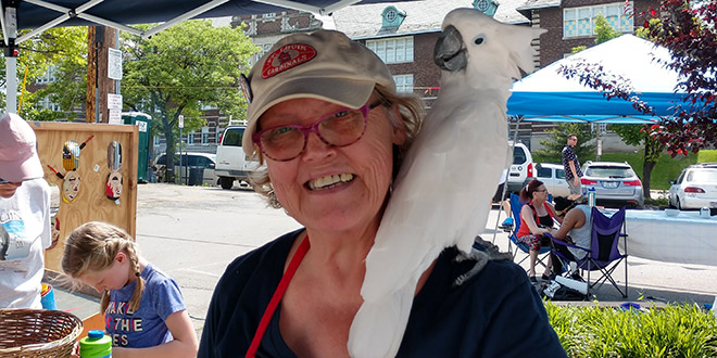 Brenda's Breast Cancer Story