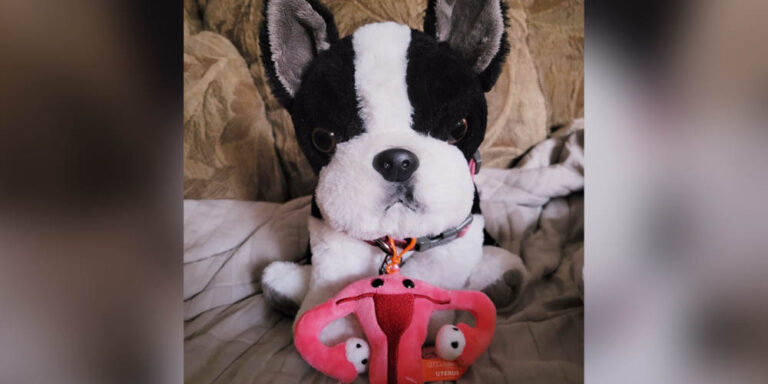 mikkis-story-endometrial-cancer